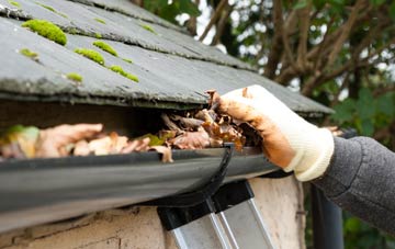 gutter cleaning Saltwick, Northumberland