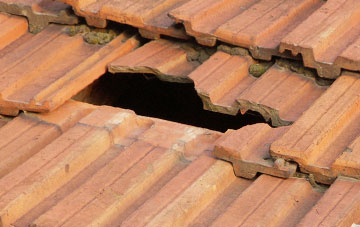 roof repair Saltwick, Northumberland